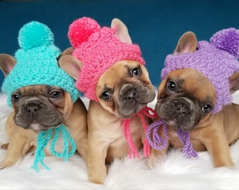 Handmade Crochet Puppy Dog crocheting beanie toque pompom beanie Colors French Bulldog Puppy Pug Bulldog Boston terrier Fashion Accessories