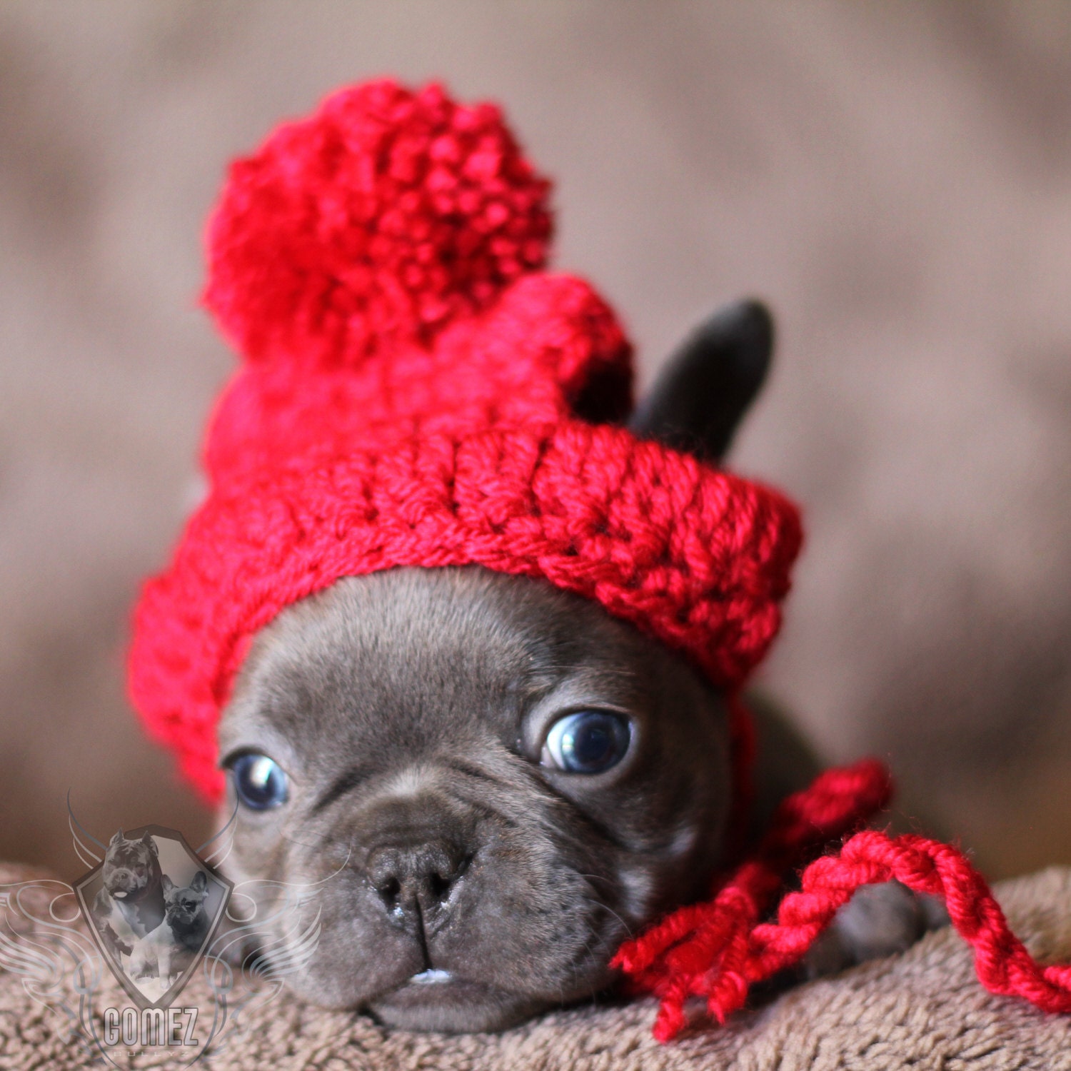 Handmade French Bulldog Clothe Puppy Beanie crochet pom pom Etsy