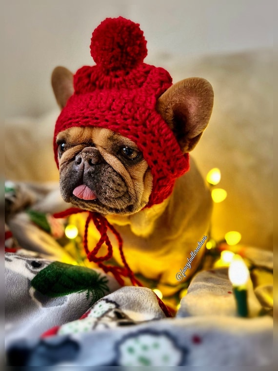 Adult French Bulldog Clothe Puppy Beanie Crochet Pom Pom Hat Dog Clothes Dress up Large Size Dog Toques