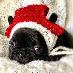 Small Puppy Dog Holiday Knit Crochet Hats, beanie toque pompom beanie Xmas Colors French Bulldog Puppy Hats Fashion Accessories