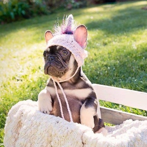 Unicorn puppy dog beanie toque gorro French Bulldog Clothe pug terrier rescue dog hat