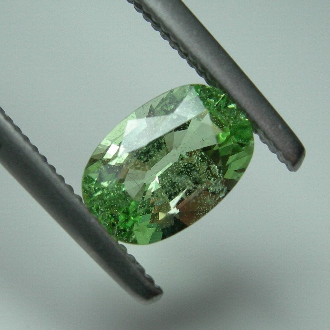 Closeout Rare 1 48ct Merelani Mint Garnet Gem Tanzania Green Grossular
