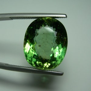 CLOSEOUT 14.9ct rare LARGE Green Apatite gem Brazil Natural gemstone Fancy yellowish Green Color Genuine Loose Untreated Unheated Brazilian