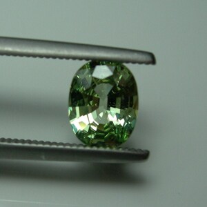 Può includere: Una pietra preziosa dal taglio ovale con una vibrante tonalità verde e una superficie sfaccettata, tenuta saldamente tra le punte metalliche seghettate di una pinzetta. La pietra mostra riflessi di luce interni e un aspetto lucido.