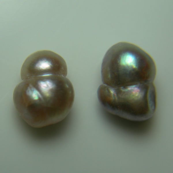 2 very rare Natural Sea of Cortez Pearls genuine Saltwater Pteria sterna Pink Cream Gray Brown Baroque Pearl Pair Rainbow Lipped Oyster cp20