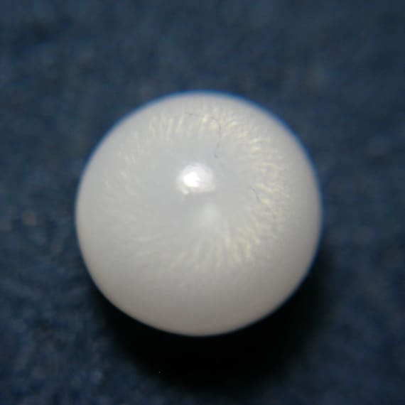 Giant clam pearl price deals