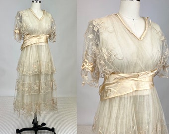 Antique Vintage 1910s Edwardian Cream Colored Silk and Net Gown with Strawberry Embroidery and Bows Titanic Era