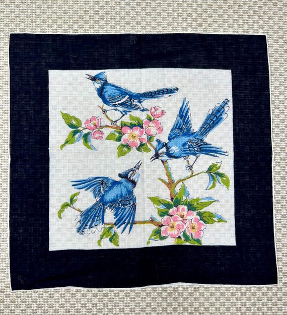 【ヴィンテージ・美品】フレミッシュ織　家並み　額装済 1950 年代のヴィンテージ プリント ハンカチ 鳥 ブルージェイズまたは