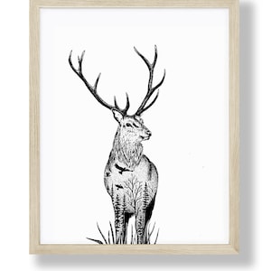8 x 10 Illustrated Elk Print