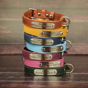 Personalized leather dog collar with name plate/Custom dog collar/5 SIZES