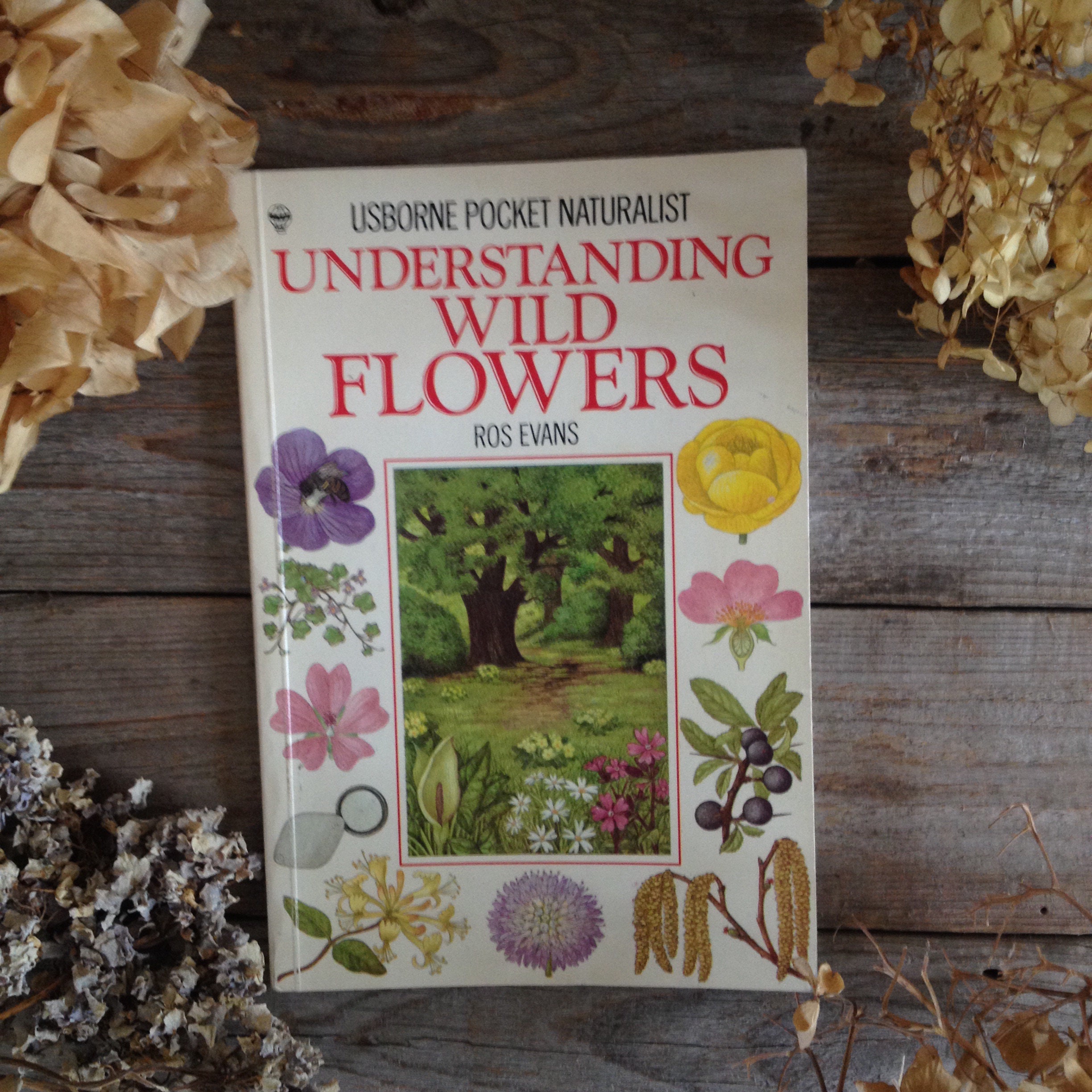 Wildflowers Book Botanical illustrated vintage flower & Etsy