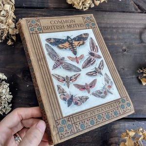 RARE Vintage British Moths nature Book - Collectable natural history books