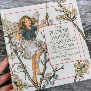 Livre Fleurs sauvages Les fées des saisons changeantes - Livre illustré pour enfants