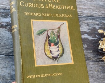 Nature Curious and Beautiful - Edwardian Natural History Vintage Book