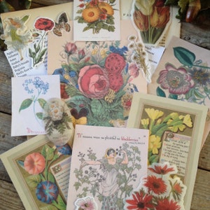 Kit di penna per amici con effimeri botanici del linguaggio dei fiori - carte vintage - diario spazzatura - quaderno da viaggio