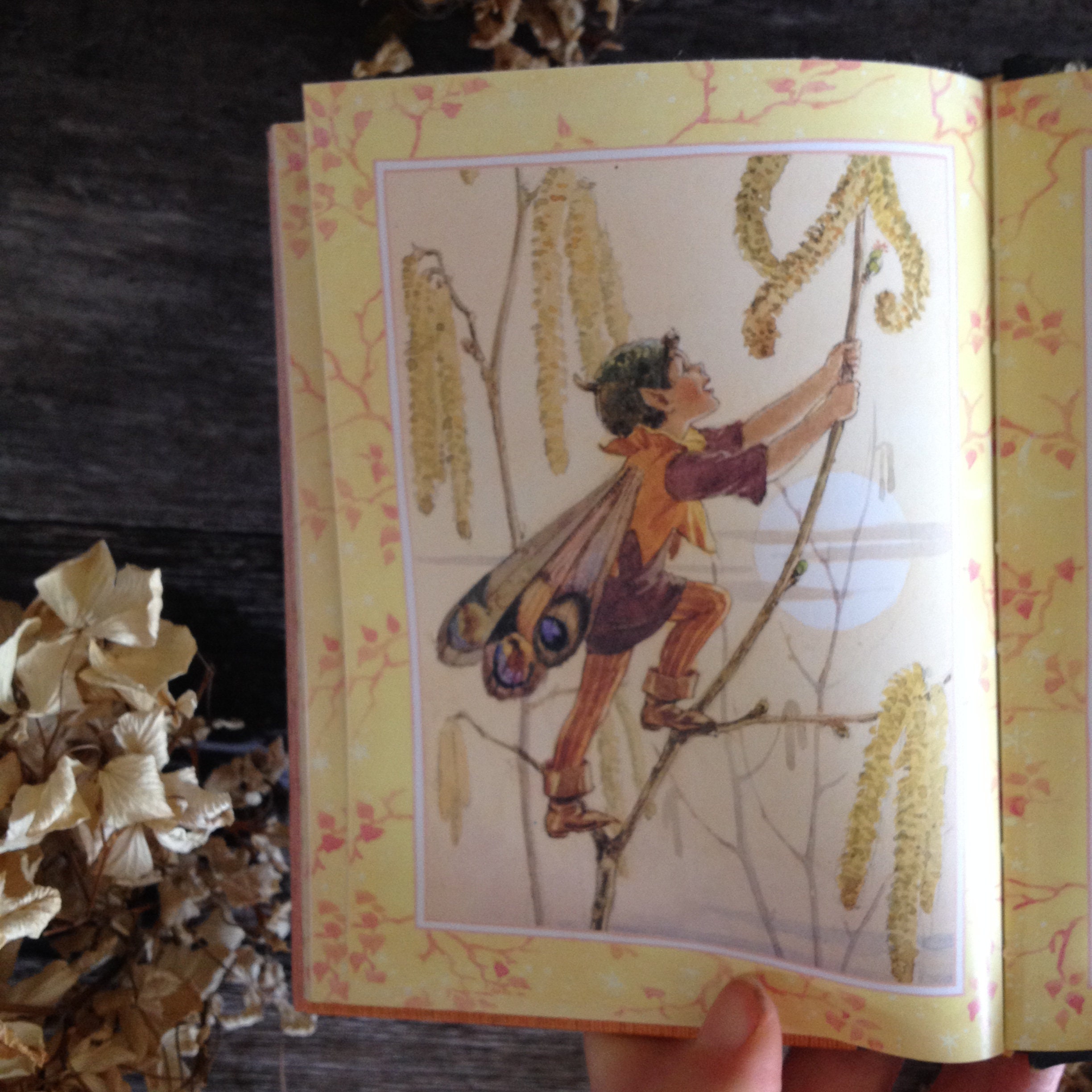 Forest Fairies Book Margaret Tarrant Fairy Paintings Etsy 日本