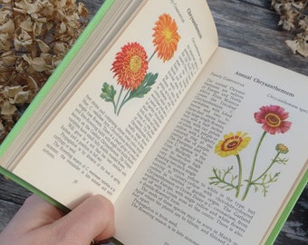 Observer's Garden Flower Vintage book - WildFlower Guide