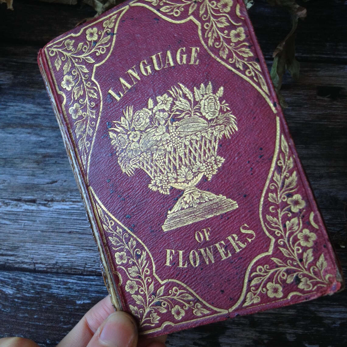 RARE very early Victorian illustrated language of Flowers Etsy