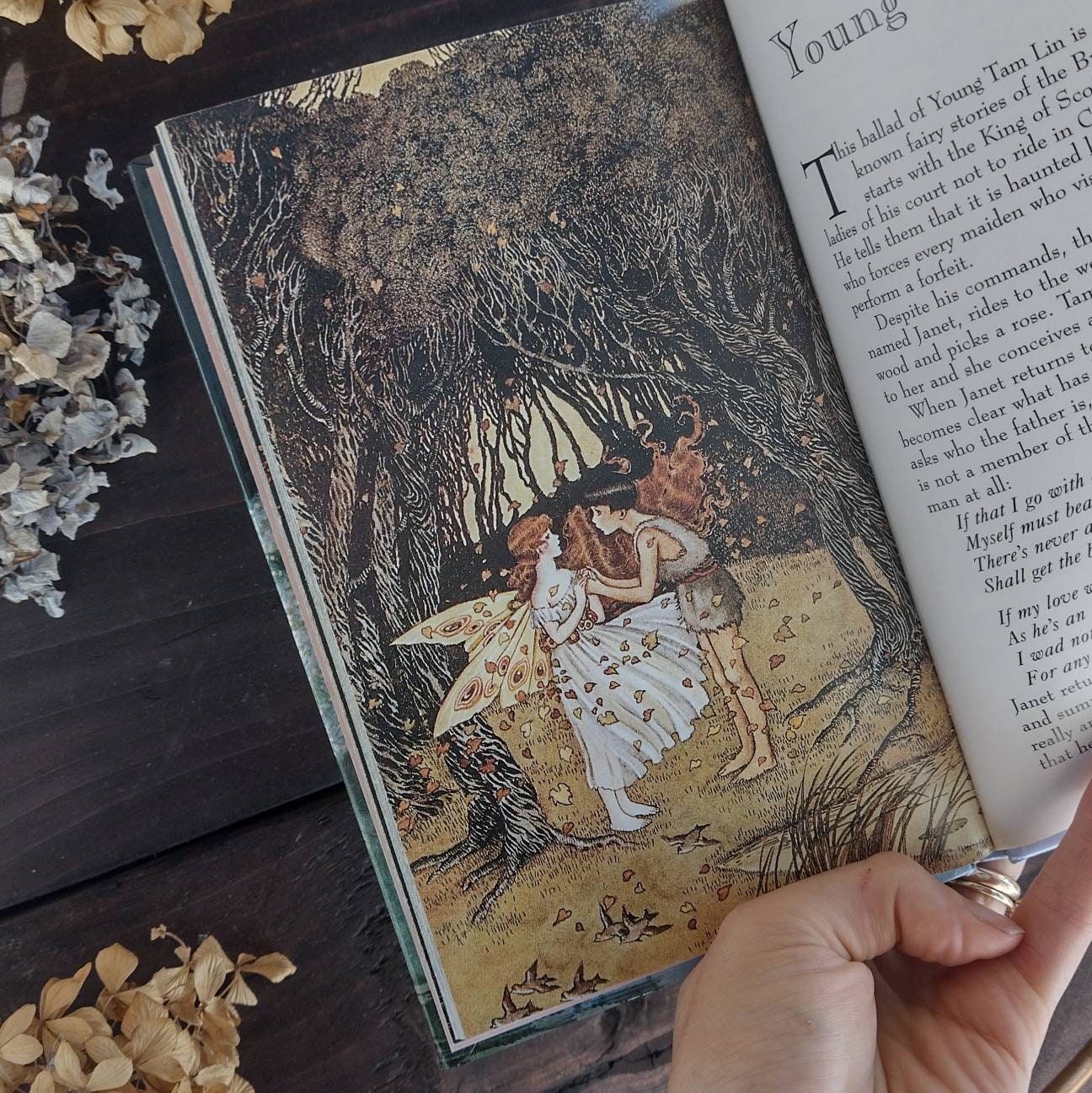 cuentos infantiles ilustrados de Elfos y Hadas - Etsy España