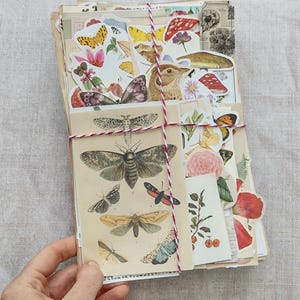 Confezione da 100 pezzi di carta per scrapbooking vintage - diario spazzatura - kit di effimeri per diario naturalistico - illustrazioni di storie per bambini