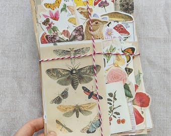 100pc Vintage scrapbooking paper pack - junk journal - nature journalling ephemera kit - children's story illustrations