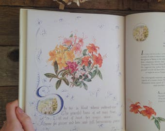 Victorian Flower Album - Watercolour Artist -  Botanical Art