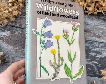 Wild Flowers Wildflowers Vintage book - Watercolour Artist - botanical