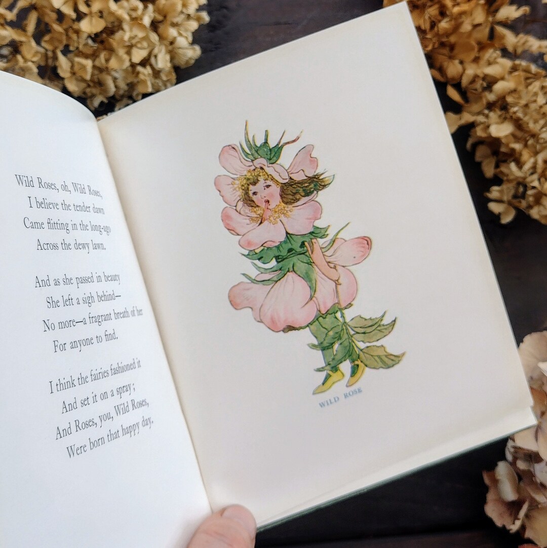 RARE Little Book of Wild Flowers Antique Illustrated Book Etsy