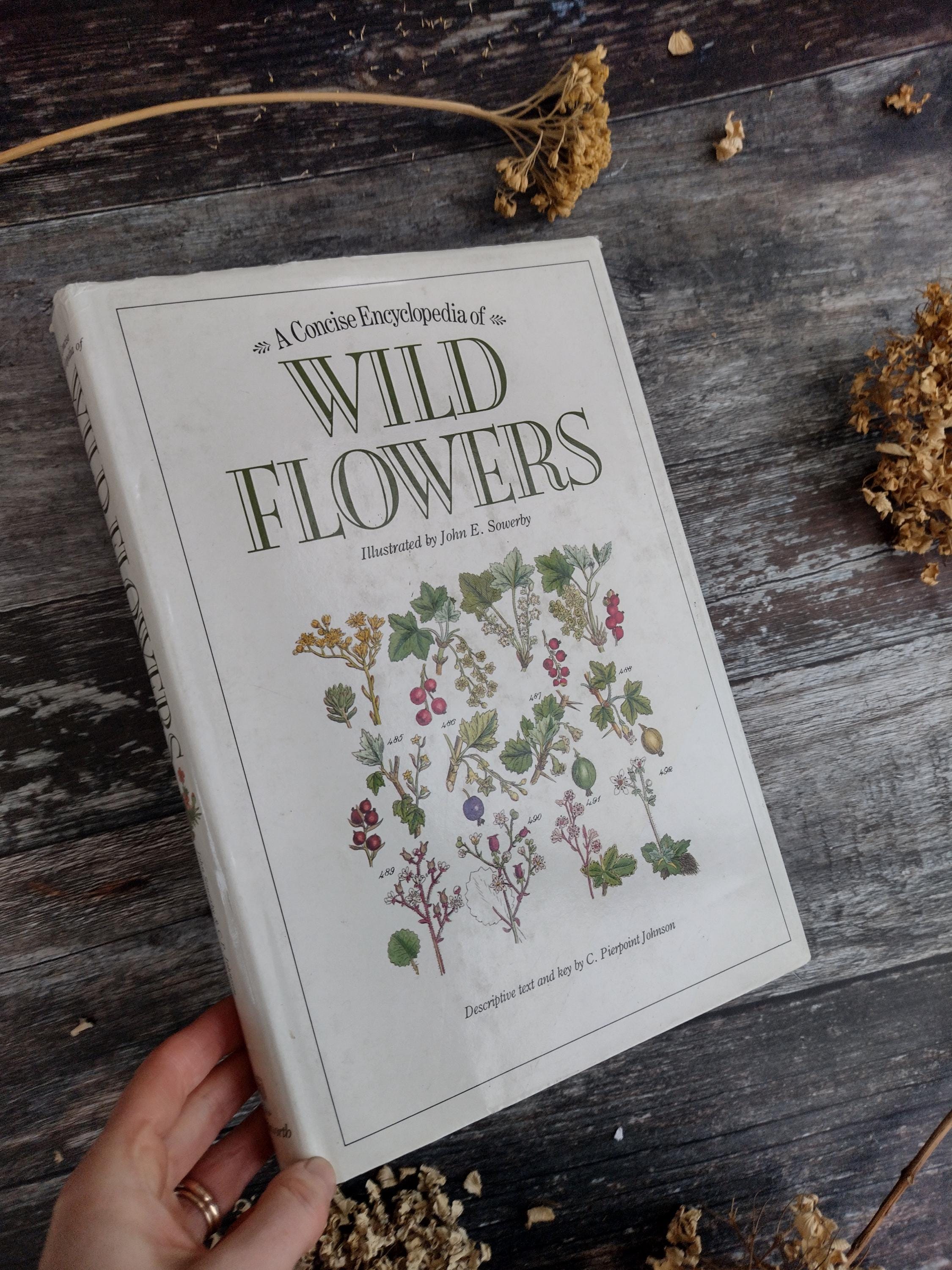 アンティークWILD  FLOWERS  by  John Ｅ. Sowerby Wild Flowers - Sowerby - Antique Illustrated Book - Etsy