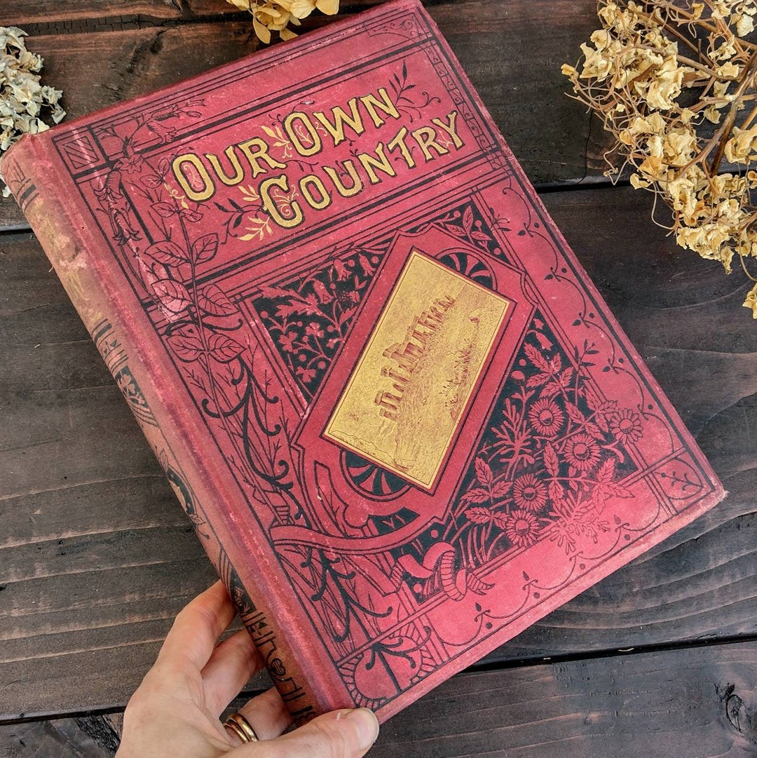 RARE British History Book Illustrated Antique Book Etsy