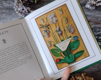 Medieval Flower garden Vintage Book - Nature Guide - Creative gift - Nature Book