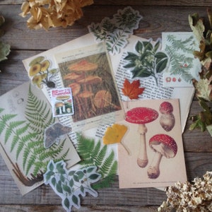 Kit per amici di penna Woodland & Forest Nature Ephemera - carte vintage - diario spazzatura - taccuino del viaggiatore