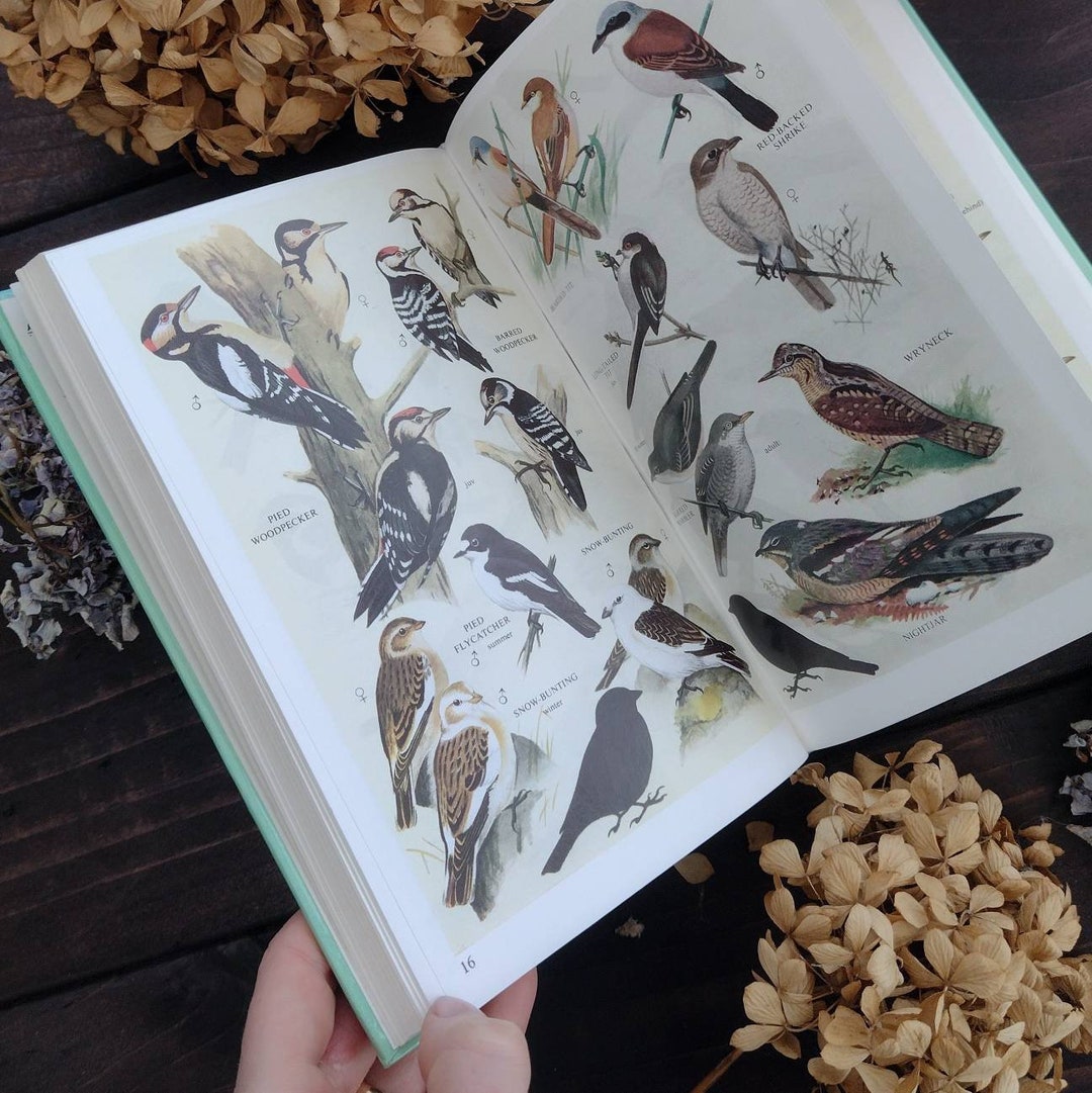 Collins Pocket Guide to British Birds - Vintage Old Bird Book - Etsy