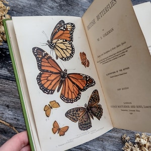 Antique Victorian Butterflies Guide 1901 - Vintage book by W S Coleman