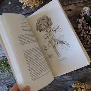 Libro di ricette di erbe Guida vintage - Guida alla natura delle erbe - Erboristeria