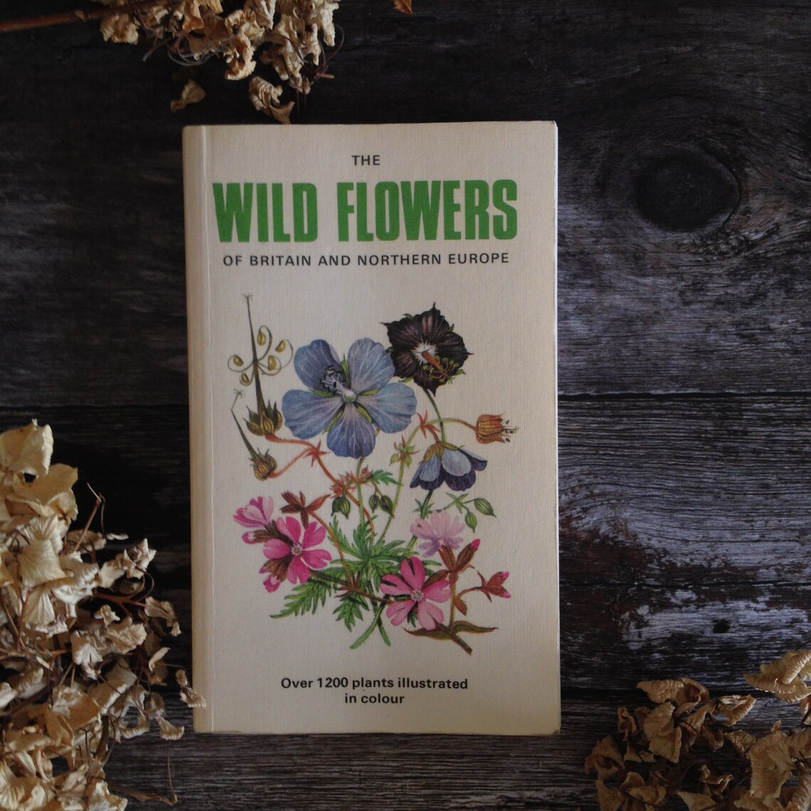Wildflower Guide Nature Guide Vintage book Botanical Art Etsy