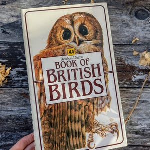 Guide to British Birds - Vintage old bird book