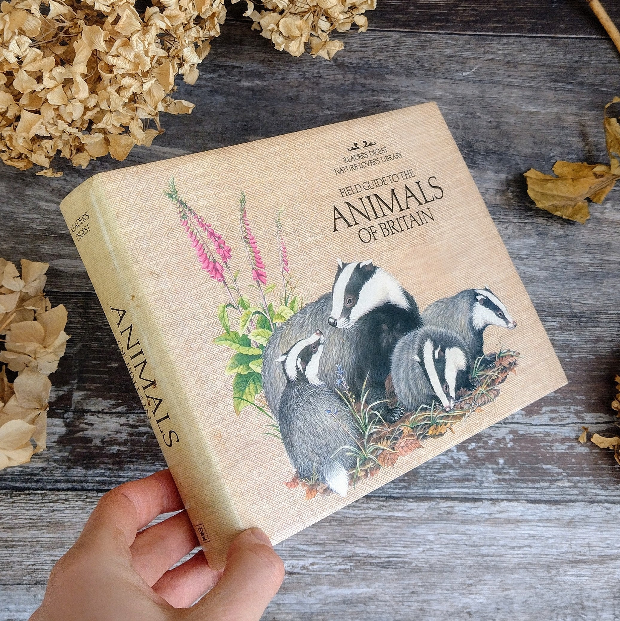 Readers Digest NORTH AMERICAN WILDLIFE Color Illustrated Book Plants  Animals '82