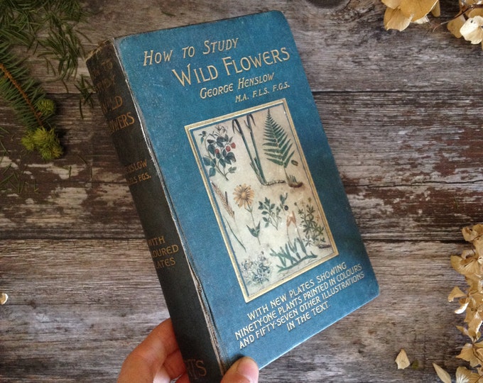 Edwardian Illustrated Wild Flowers by Henslow Antique Botany Etsy