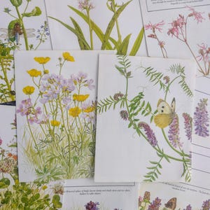Paquete de efímeras florales y botánicas de las estaciones: diario vintage, ilustraciones de naturaleza botánica, páginas de libros