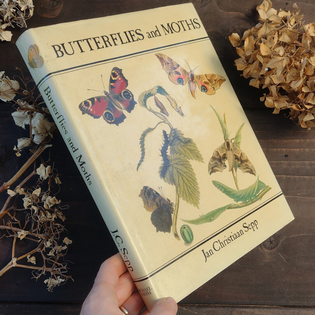 Illustrated Butterflies and Moths Book Watercolour Artist Etsy