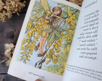 Fairies of the Changing Seasons Wildflower Book - Illustrated