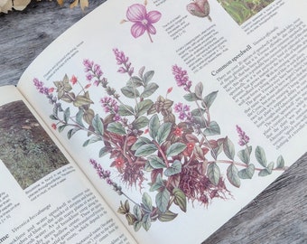 British Wildflowers  Book - Readers Digest - Botanical Art - Watercolour Artist - Creative gift