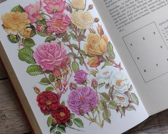 May include: Open book page featuring a botanical illustration of various roses. The roses are in shades of yellow, pink, red, and white, with green leaves. The book's pages are white, and the binding is red.