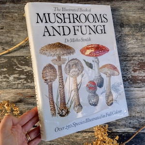 HUGE Guide to British Mushrooms and Toadstools - Vintage illustrated nature Book