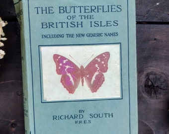 Antique Butterflies Vintage book - Butterfly Book -Creative gift - Vintage Gift