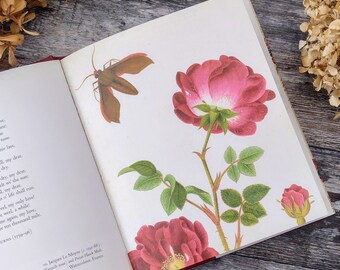 Flowers by the British Museum -  Illustrated Watercolour Artist - Painting book -