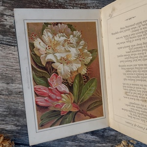 Op de afbeelding: Een open boekpagina met een botanische illustratie van een witte en roze rododendronbloemtros met groene bladeren. De tekst 'RHODODENDRON' staat verticaal aan de linkerkant en een gedicht is zichtbaar op de rechterpagina.