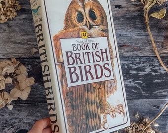 Guide to British Birds - Vintage old bird book