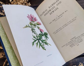 Floral Rambles by Henslow - Antique Wildflowers Vintage book - Watercolour Artist flower Book